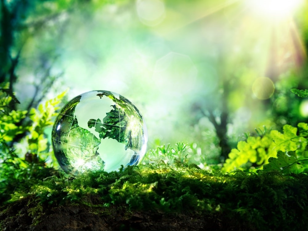 Immagine Green
